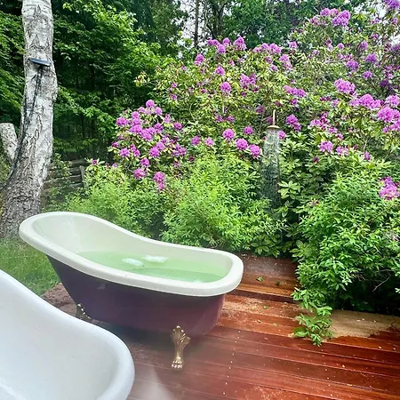 Large Natural Plot With Wildlife Near Tisvilde Holiday home Frederiksvaerk