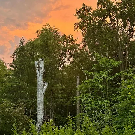 Large Natural Plot With Wildlife Near Tisvilde
